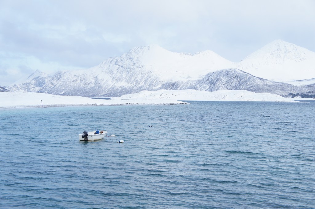 Fiordo en la isla de Kvaløya